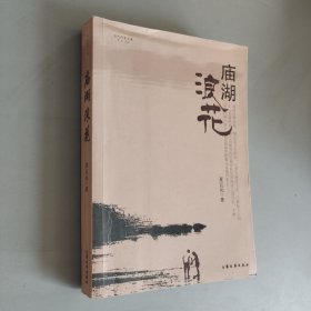 庙湖浪花