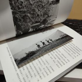 生命的力量：一个麻风病人的纪实（内页干净无笔记，赠送有明信片，详细参照书影）7-7