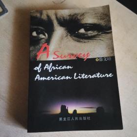 A survey of African American  Literature