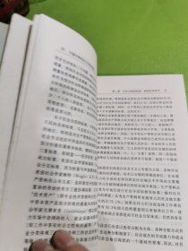 中国中部地区社会结构变迁：汉川市社会阶层个案分析