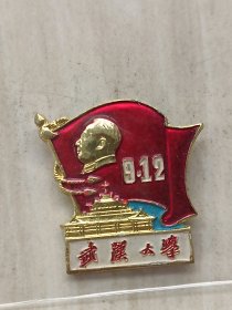 武汉大学新校庆纪念章1958-1967