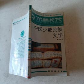 中国少数民族文学t