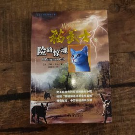 猫武士5-险路惊魂