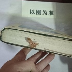 中国司法行政大辞典 有黄斑