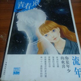 青春风特辑1 流年（年刊）疯狂阅读 校园文学（新版）--天星教育