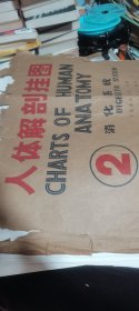 中国医科大学《人体解剖挂图》2、3、7卷共48张彩色大图