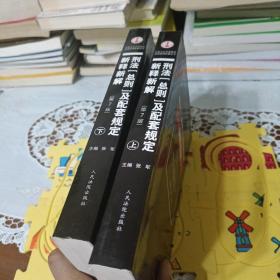 社会主义市场经济法律新释新解丛书：刑法（总则）及配套规定新释新解（第7版 套装上下册）