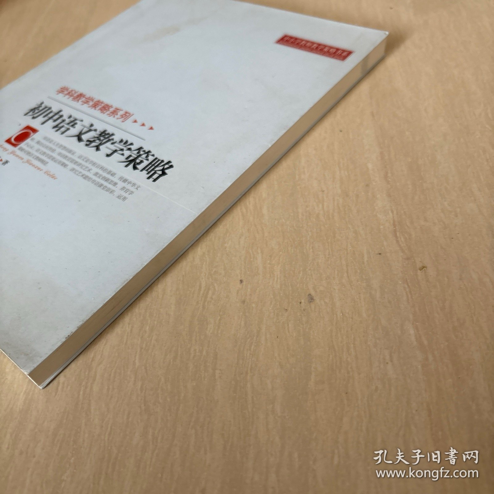 初中语文教学策略