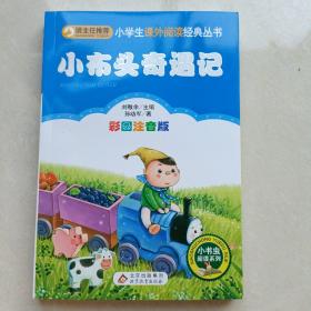 小布头奇遇记（彩图注音版） 一二年级小学生课外阅读经典丛书 小书虫阅读系列