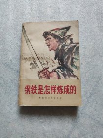钢铁是怎样炼成的