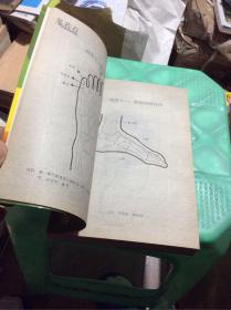 吴若石新足部健康法 无盘