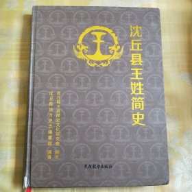 沈丘县王姓简史