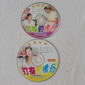 民间小调 打来的媳妇VCD2碟 (裸碟)