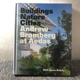 Andrew Bromberg at Aedas建筑名家安德鲁布隆伯格作品选 建筑设计书