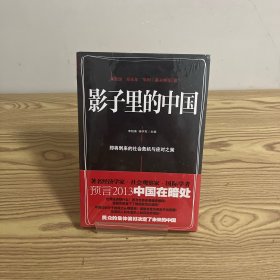 影子里的中国：即将到来的社会危机