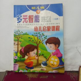 多元智能幼儿启蒙课程：数学·操作（下）（教师指导用书）