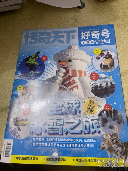 传奇天下 好奇号2024年11月中旬Y世界