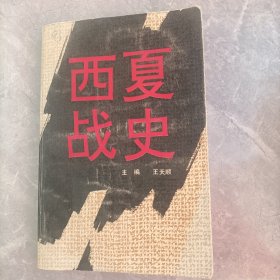 西夏战史