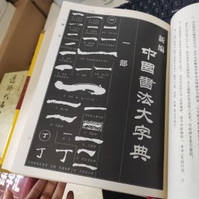 新编中国书法大字典