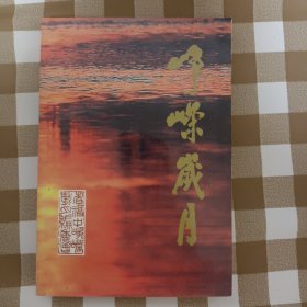 峥嵘岁月（并入书柜2）