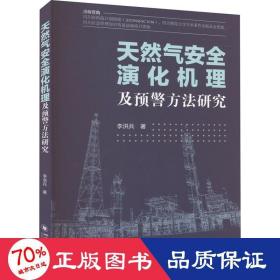 安全演化機理及預(yù)警方法研究 能源科學(xué) 李洪兵
