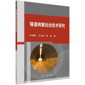正版 隧道病害处治技术研究 许崇帮//王元清//李磊 科学出版社