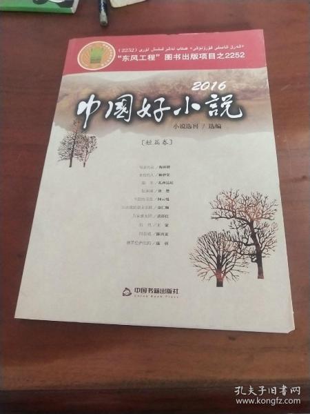 2016中国好小说 短篇卷