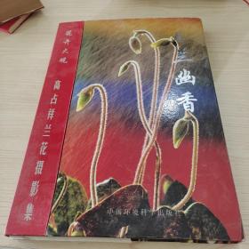 高占祥兰花摄影集