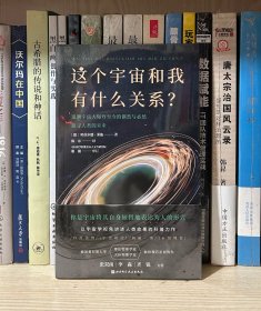 这个宇宙和我有什么关系？（全新塑封）