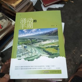 涌动的羊湖（签名册）