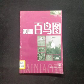洞庭百鳥圖