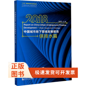 2018中国城市地下管线发展报告 供排水篇