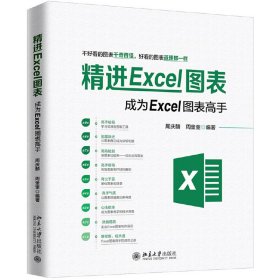 精进Excel图表成为Excel图表高手