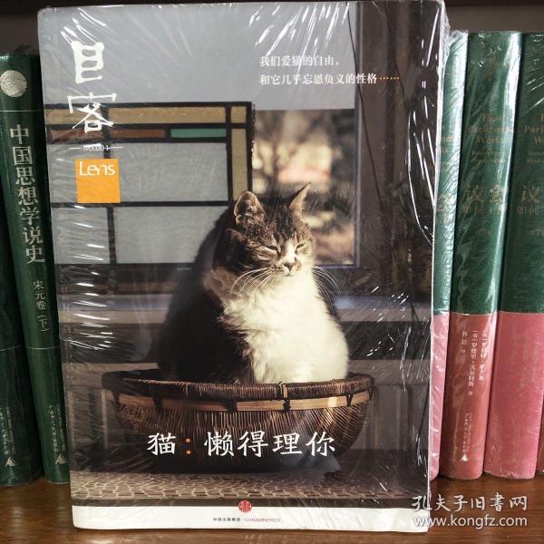 Lens·目客004·猫：懒得理你：我们爱猫的自由，和它几乎忘恩负义的性格……