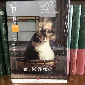 Lens·目客004·猫：懒得理你：我们爱猫的自由，和它几乎忘恩负义的性格……