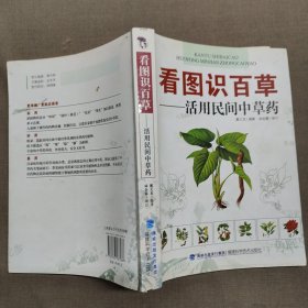 看图识百草：活用民间中草药