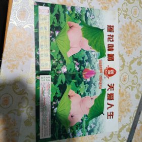 莲花味精 2002年年历