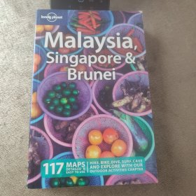 Malaysia Singapore and Brunei (Lonely Planet Country Guides)