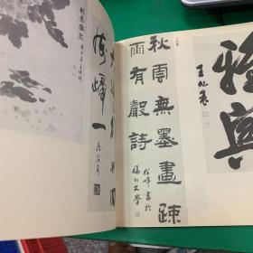 福建逸仙艺苑画册