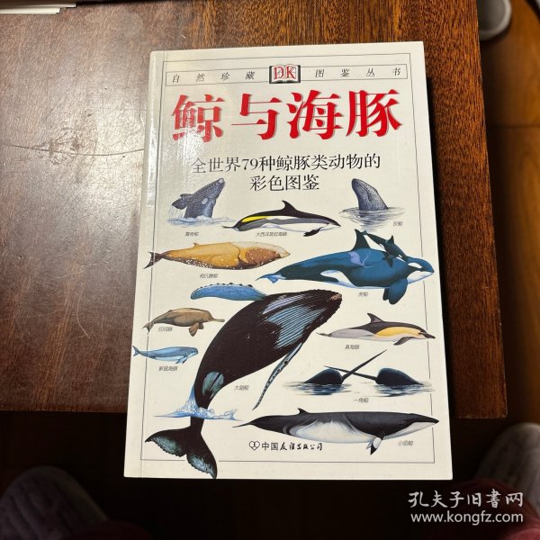 鲸与海豚：全世界79种鲸与海豚的彩色图鉴——自然珍藏图鉴丛书