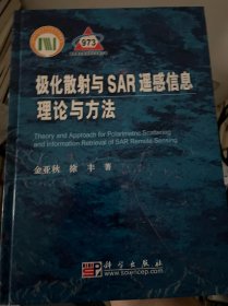 极化散射与SAR遥感信息理论与方法