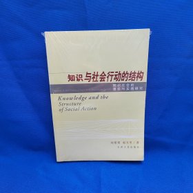 知识与社会行动的结构：知识社会的理论与实践研究