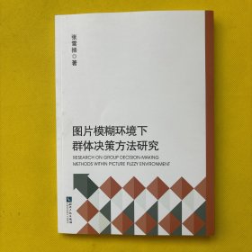 图片模糊环境下群体决策方法研究