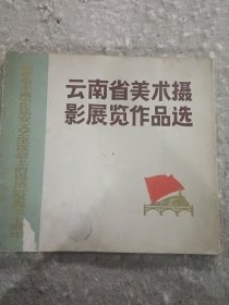 云南省美术、摄影展览作品选（12开）