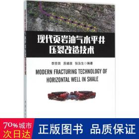 现代页岩油气水井压裂改造技术 能源科学 李宗田，苏建政，张汝生编