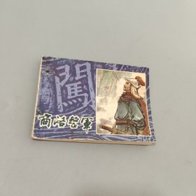 商洛整军