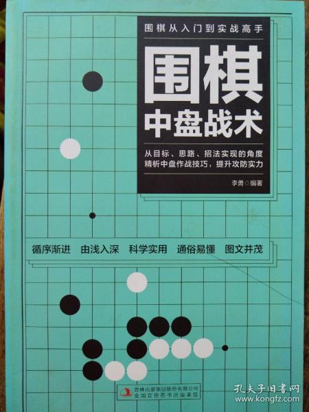 围棋从入门到实战高手（全5册）围棋定式解密 布局高招 中盘战术 收官计算 名局欣赏