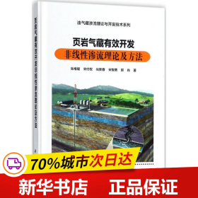 页岩气藏有效开发非线性渗流理论及方法