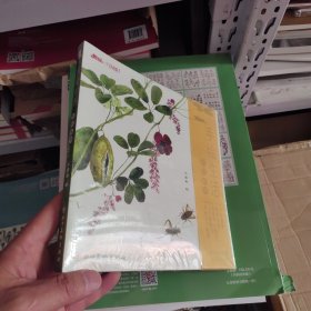 尚读出版 手绘生活水彩植物水彩画入门零基础到精通自学教程 水彩入门书水彩教程书水彩插画教程水彩书 三淼君著