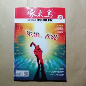 啄木鸟 2024 10